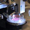 Neue Maschine zum Drucken von lebenden Zellen im All (Foto: manchester.ac.uk)
