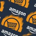 Amazon: Kleinere US-Firmen werfen den Fehde-Handschuh (Logo: Amazon) 