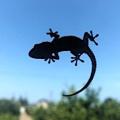 Gecko, der an einer Glasscheibe emporklettert (Foto: sammyschellenberg, pixabay.com)