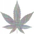 Marihuana: Amazon unterstützt Legalisierung (Bild: Pixabay/GDJ)
