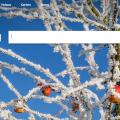 Bing erhält KI-Aufputz (Bild: Screenschot ictk) 