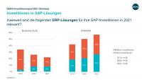 Investitionen in SAP-Lösungen (Grafik: DSAG)